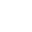 Integrity and Transparency Icon