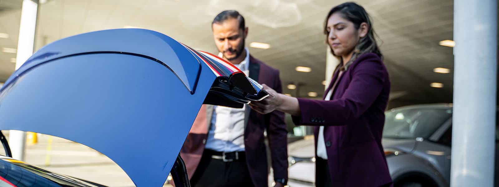 information-about-car-ownership