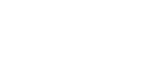 Avenue Auto Inc