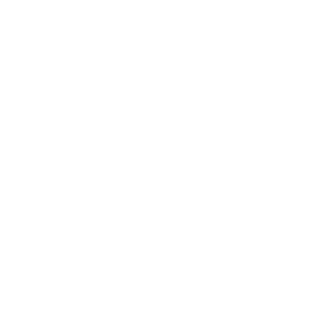 Blue Ridge Auto Center Inc.
