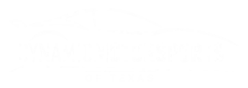 Dynamic Motorsports of Texas LLC