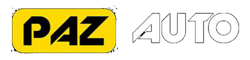 Paz Auto Group Inc