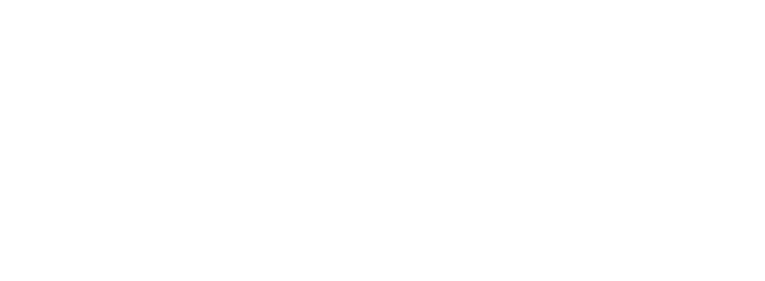 BRAZIL IMPORTS, LLC