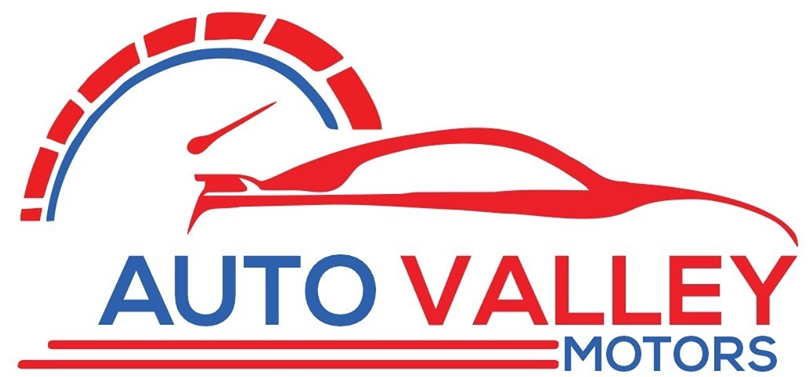 AUTO VALLEY MOTORS LLC