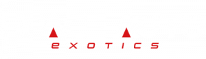 Space Auto Group Inc.