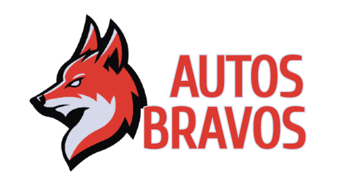 AUTOS BRAVOS LLC