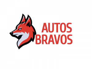 Contact Us - AUTOS BRAVOS LLC