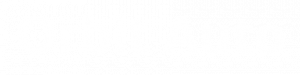 Orbit Auto