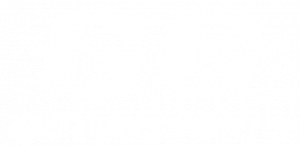 GG MOTORSPORTS LLC