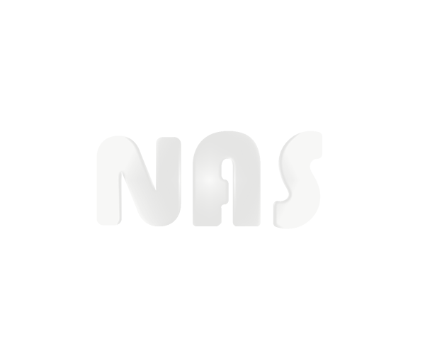 NETO AUTO SALES LLC