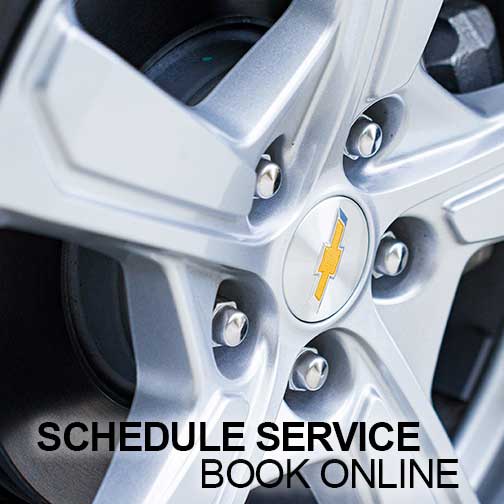 Scheduke service book online