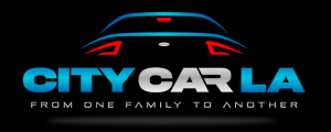 CITY CAR LA INC