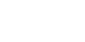 THE BOSS CARS INC