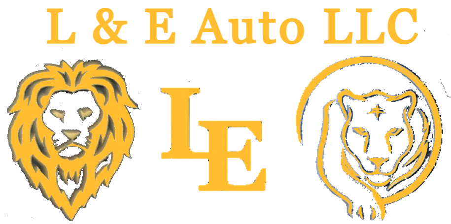 L&E AUTO LLC