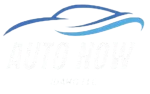 Auto Now Idaho LLC