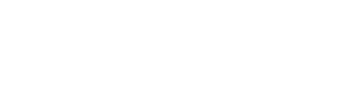 Carvvy Auto Group LLC