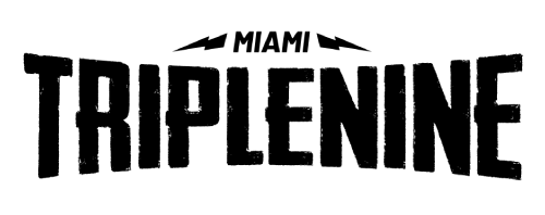 TRIPLENINE MOTORS LLC