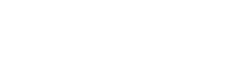 N-Y FUTURE AUTO SALES CORP