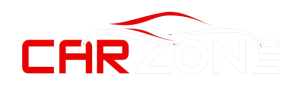 CAR ZONE AUTO INC