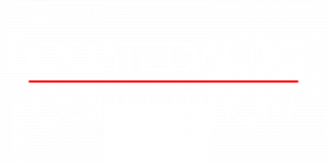 Boosted Auto Collection LLC