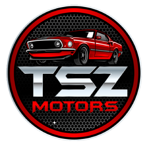 TSZ MOTORS LLC