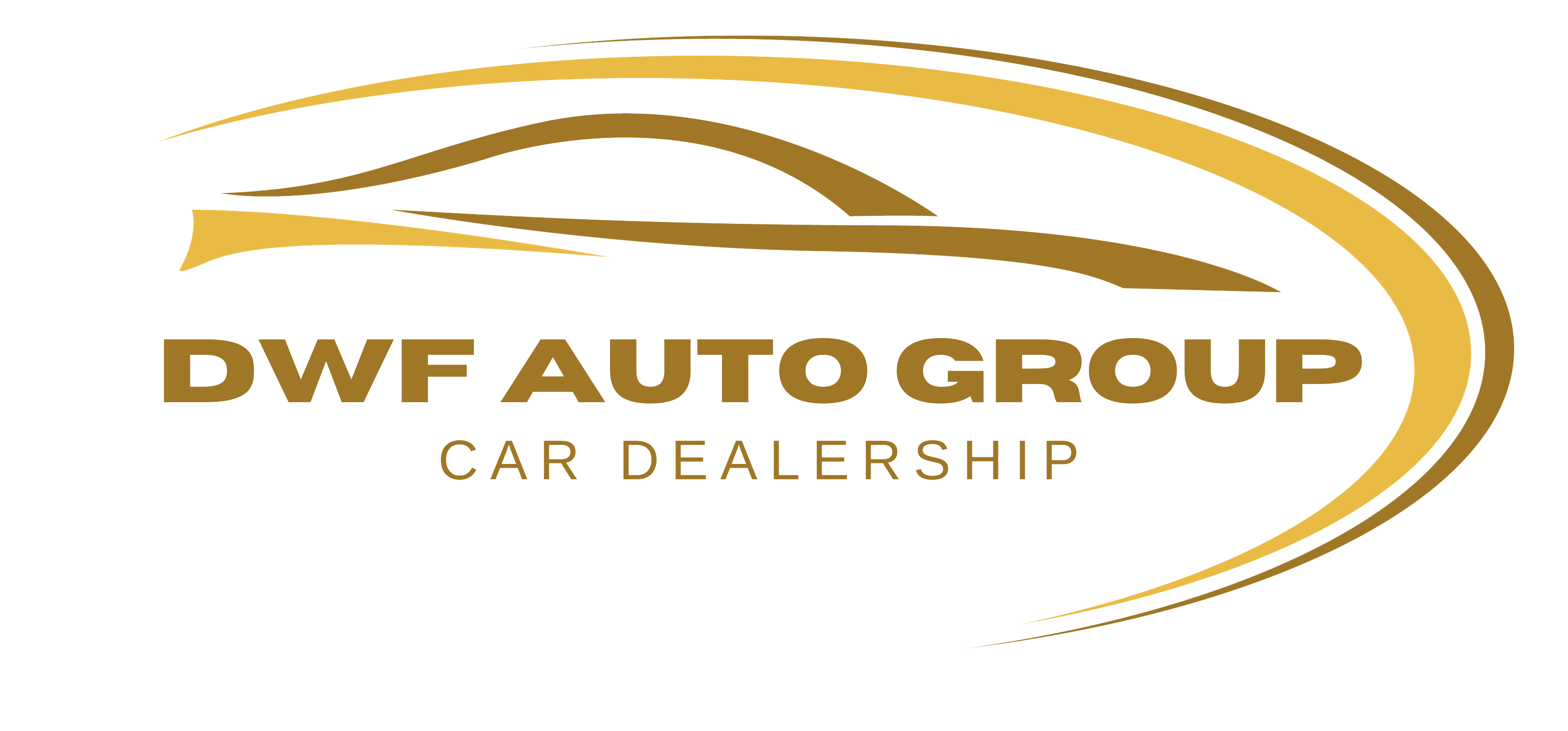 DWF AUTO GROUP LLC