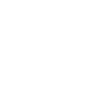 Aspen Auto Group LLC
