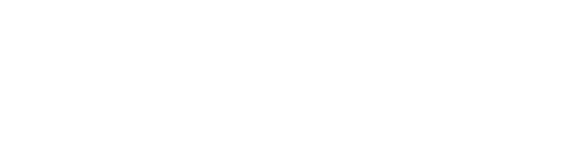 Raceline Motors, LLC.