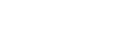 Raceline Motors, LLC.