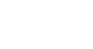 PAPIN GARAGE LLC