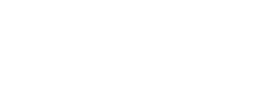 Cobra Auto Sales LLC