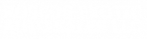 ROSCOS EXOTIC AUTO SALES LLC
