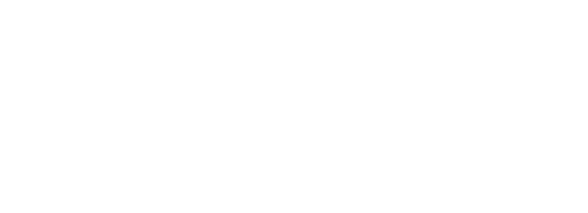 HOUSTON PLATINUM AUTOS