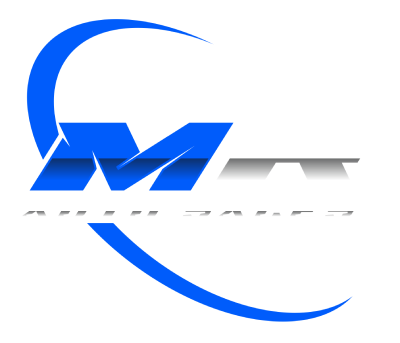 M R AUTO ENTERPRISE LLC