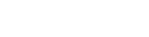 Fastlane Motor Group LLC