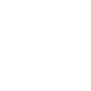 Elite Wheels Auto Sales Inc