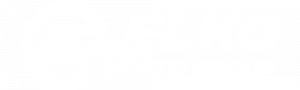 ELKO AUTO GROUP