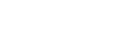 ELKO AUTO GROUP