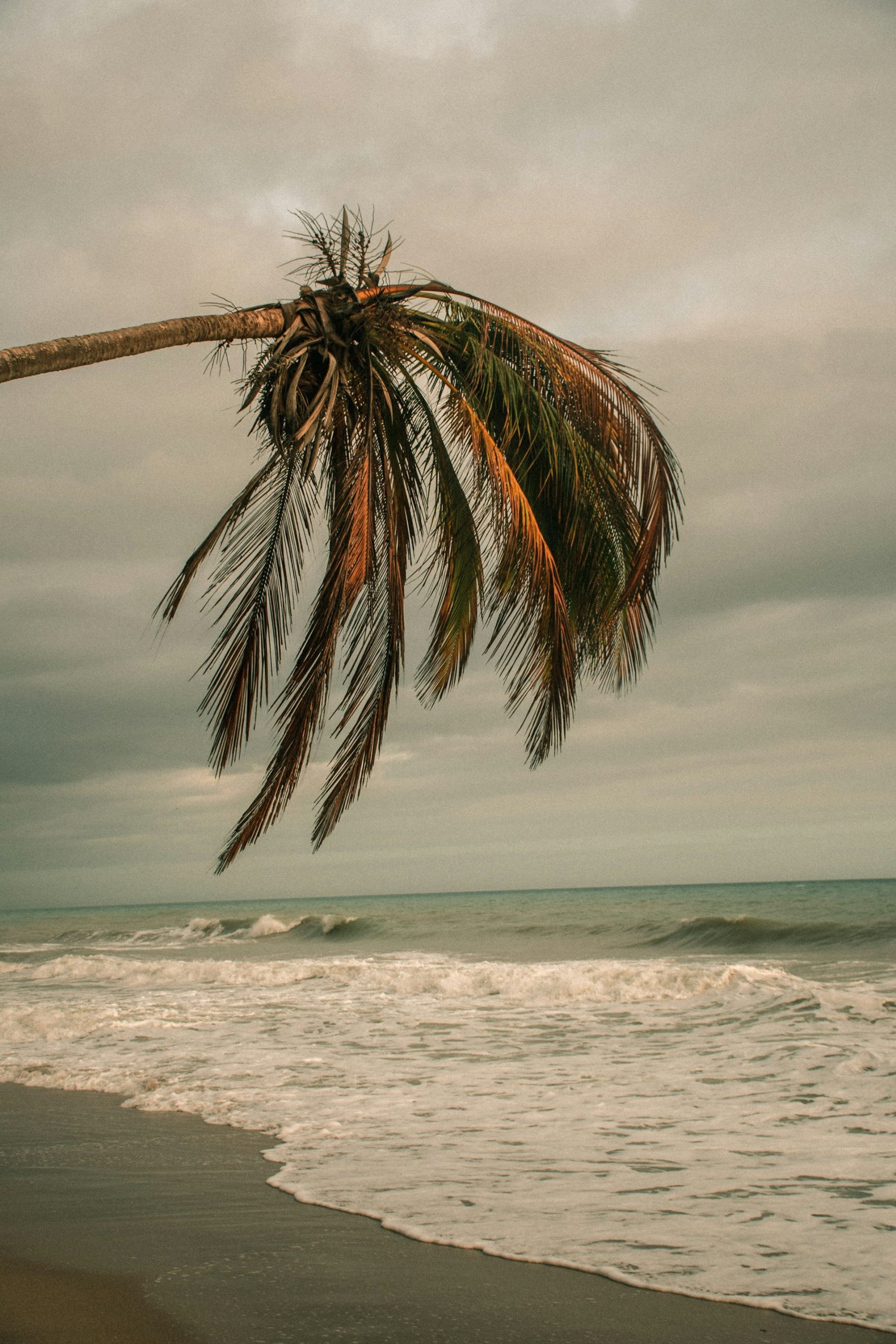 Hurricane Prep for Florida Car Owners