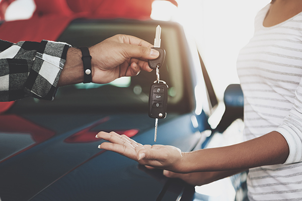 Used Car Dealer