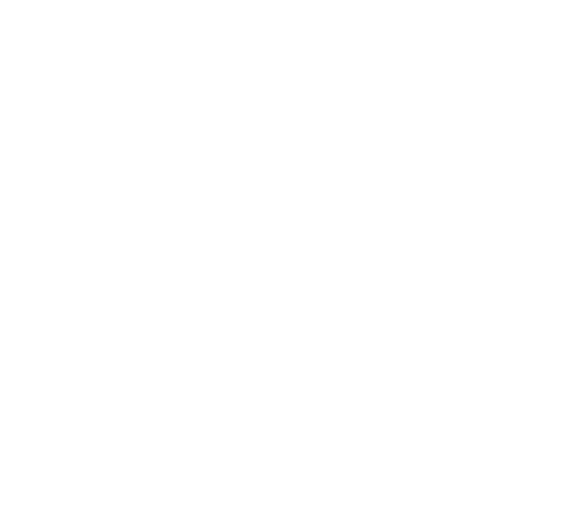 Home - Phoenix Motor Collection