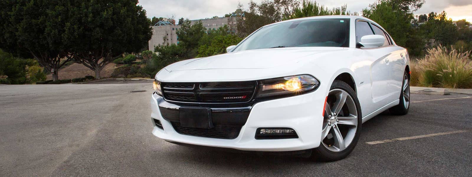 Common Car Warranty