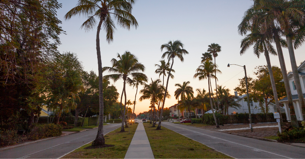 Best-SUVs-and-Trucks-for-South-Florida-Lifestyles-Road