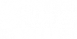 Capitol Auto Sales