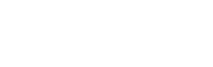 Pro Auto Group