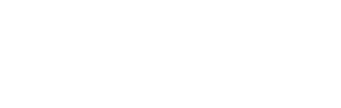 Pro Auto Group