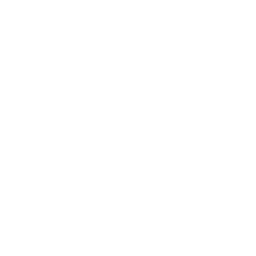 J&J FLEET LLC