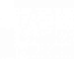 AutoTycoon Corp