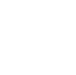 CAPITAL MOTOR GROUP