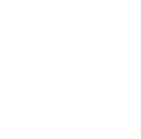 CAPITAL MOTOR GROUP